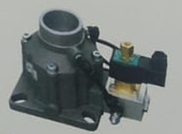 Intake valve